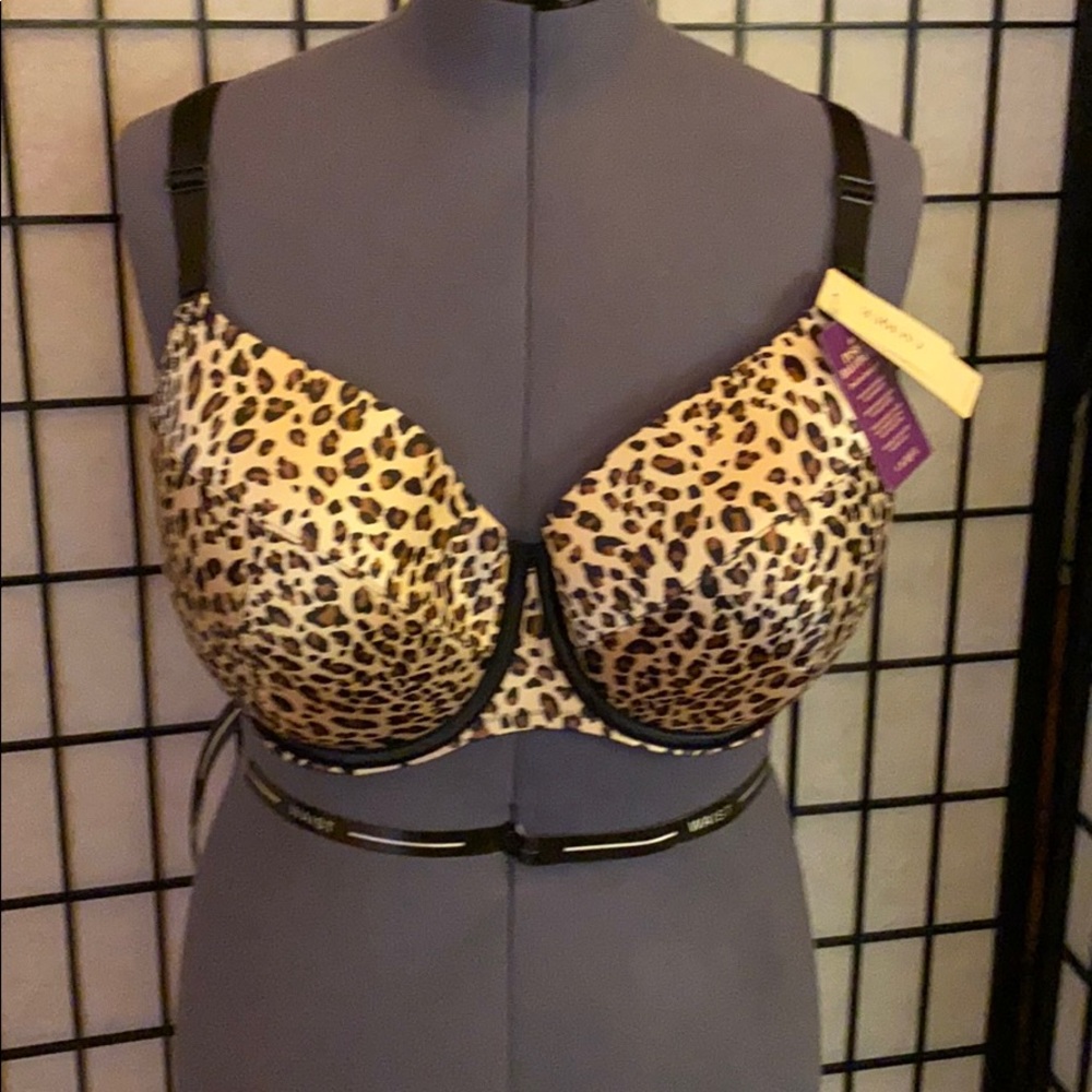 NWT Cacique Push Up Balconette Bra 44DD